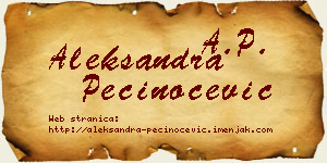 Aleksandra Pečinoćević vizit kartica